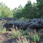 Mount Vesuvius National Park