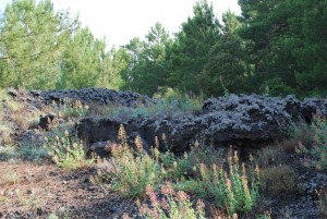 Mount Vesuvius National Park