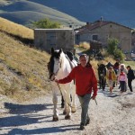 Trekking with horses