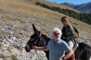 Trekking with donkeys