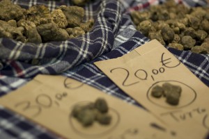 The truffle, pic by Flickr User Tuscany Events