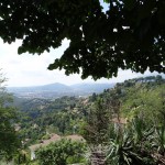 The view from San Vigilio hill