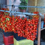 Herculaneum grape tomatoes