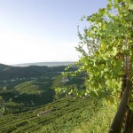 Outside the tavern with no host, Valdobbiadene