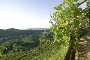 Outside the tavern with no host, Valdobbiadene