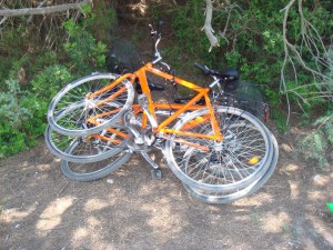 Locked bikes!