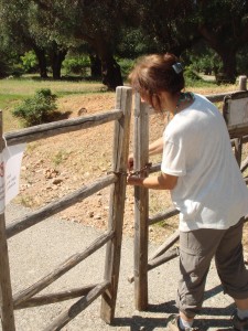 Opening gates into the Park!