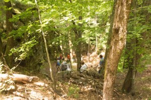 hike in the woods