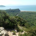 View from the hill to the sea
