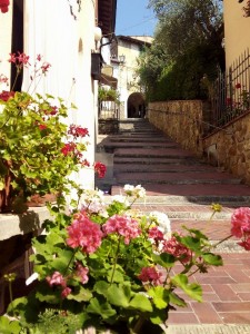 Poggio alla Malva - Tuscany