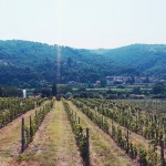 Tuscany view, Pic by Volunteers of Legambiente Prato