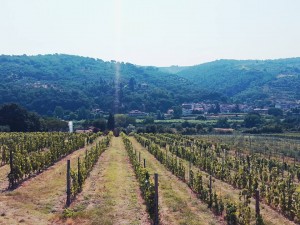 Tuscany view, Pic by Volunteers of Legambiente Prato