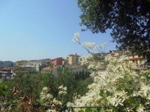 Poggio alla Malva - Tuscany