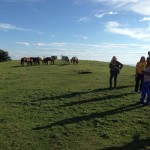 Hiking in Calvana. Monte Maggiore