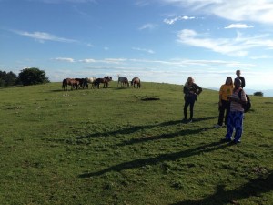 Hiking in Calvana. Monte Maggiore