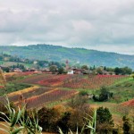 Levizzano Rangone view