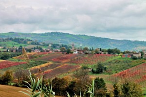 Levizzano Rangone view