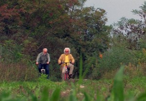 The Piave Line