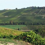 The green way in Rivanazzano