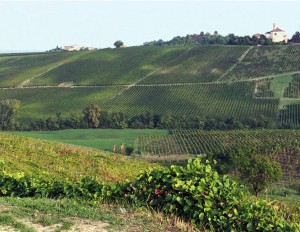 The green way in Rivanazzano