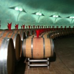 Sagrantino's barrels, Castelbuono property