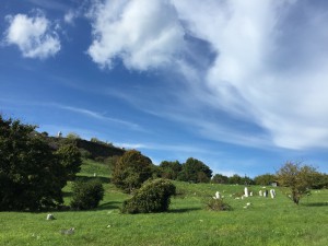 Jewish cemetery of Ancona