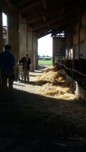 Patrizio at the Battivacco farmstead