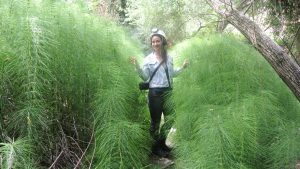 Roxana and ancient plants