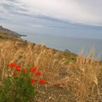 Cala Vincenzina view