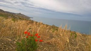 Cala Vincenzina view