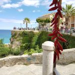 Tropea, Pic by Julie Hill