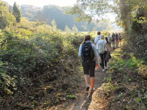 Pilgrims on the way