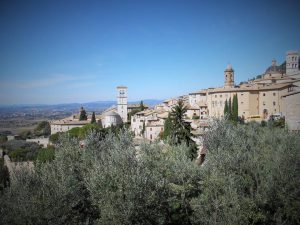 Day 3, view from Assisi