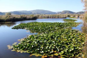 Umbria: Colfiorito Park, Foligno