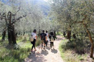 Cammino di St Frencis: Pilgrims on the way