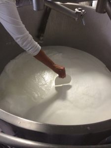 The making of cheese