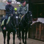 Horse trekking at Idroscalo, Milan