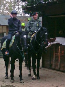 Horse trekking at Idroscalo, Milan