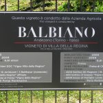 Balbiano Wine Cellar
