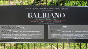 Balbiano Wine Cellar