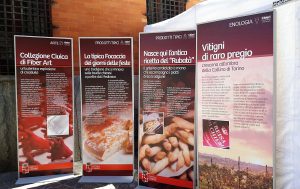 Di Freisa in Freisa, stand