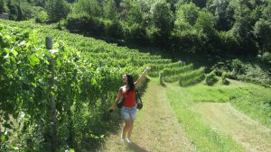 Roxana in the vineyards