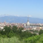 Turin, from the urban vineyard