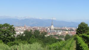 Turin, from the urban vineyard