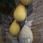 Homemade cacciocavallo