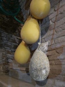 Homemade cacciocavallo