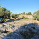 Monte Saraceno's mountaintop necropolis