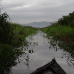 Padule di Fucecchio, sailing on the little boat