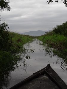 Padule di Fucecchio, sailing on the little boat