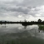 Padule di Fucecchio, observatorium